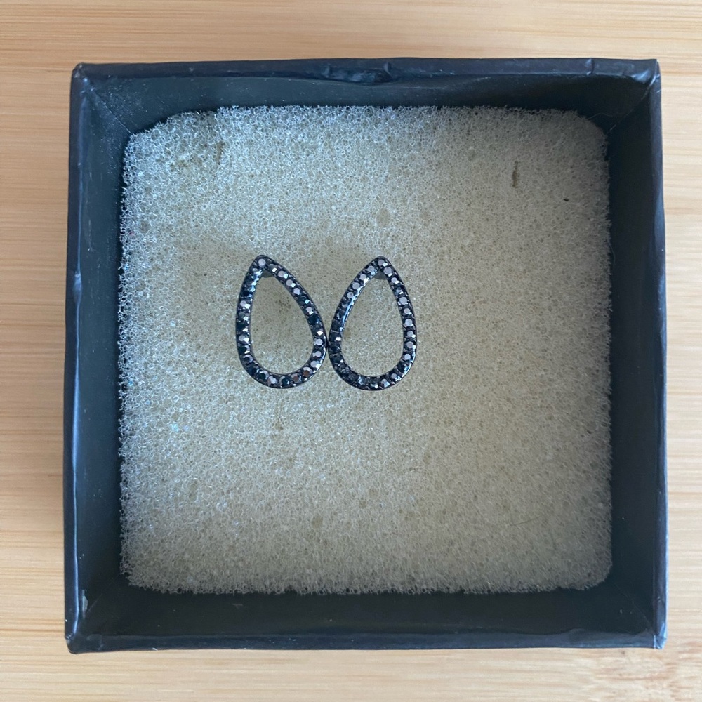 Elegant Black Teardrop Earrings